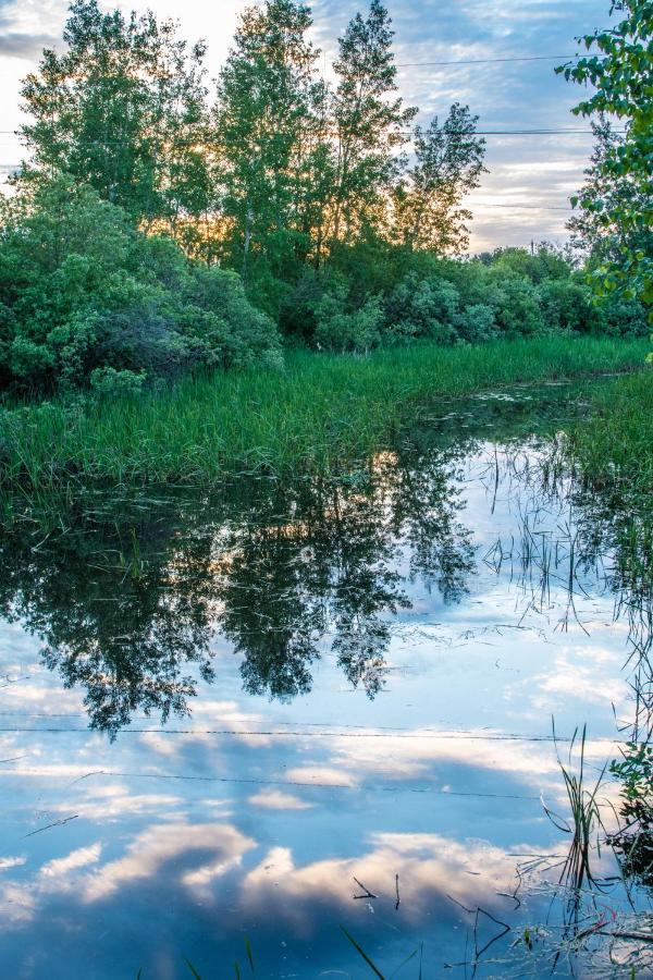 Domaine Sur Une Plage Saint-Félicien Exteriér fotografie